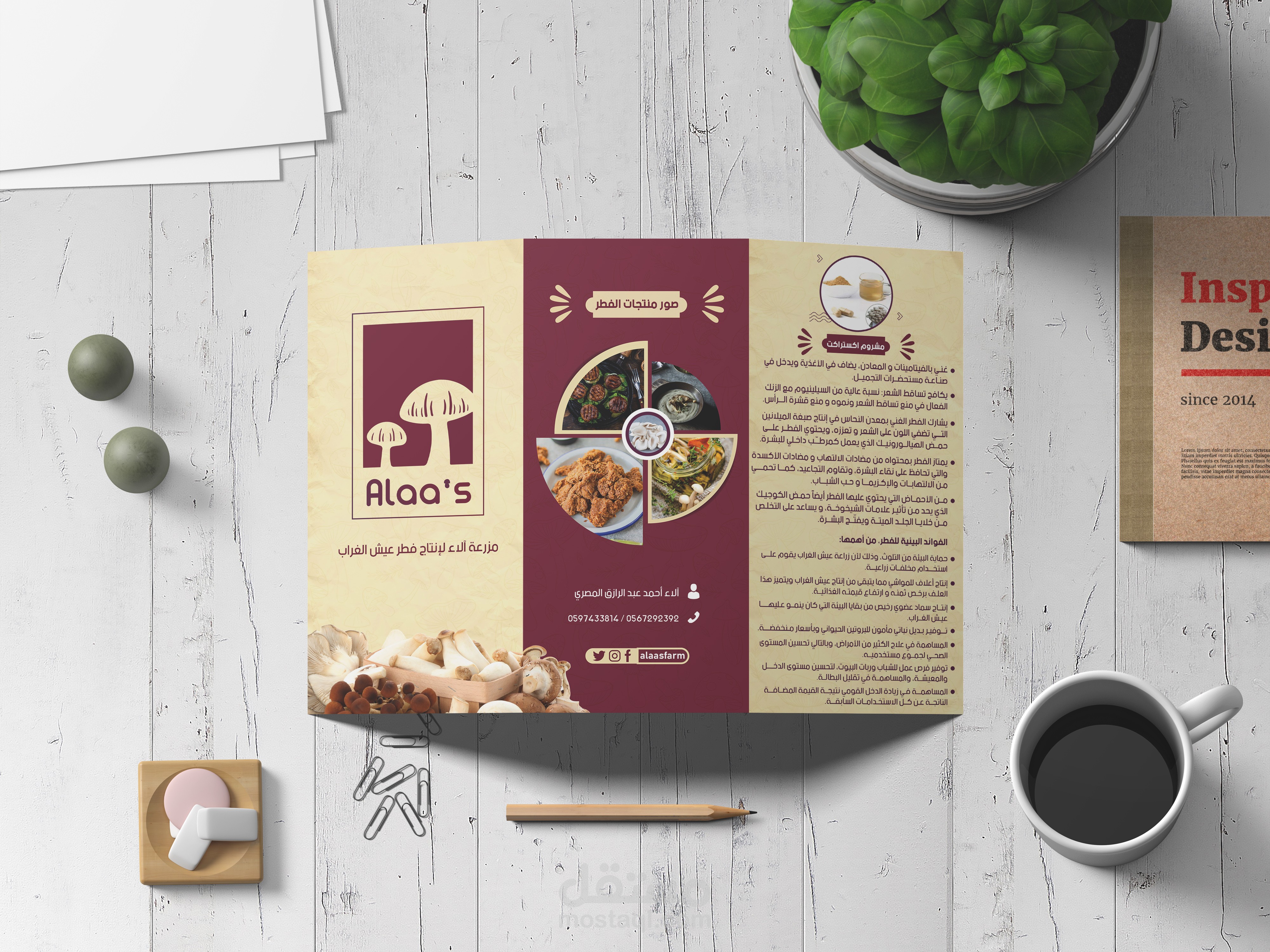 تصميم برشور Brochure لمزرعة متخصصة بمنتجات الفطر عيش الغراب