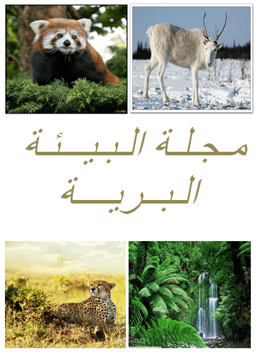 مجلة مصغرة