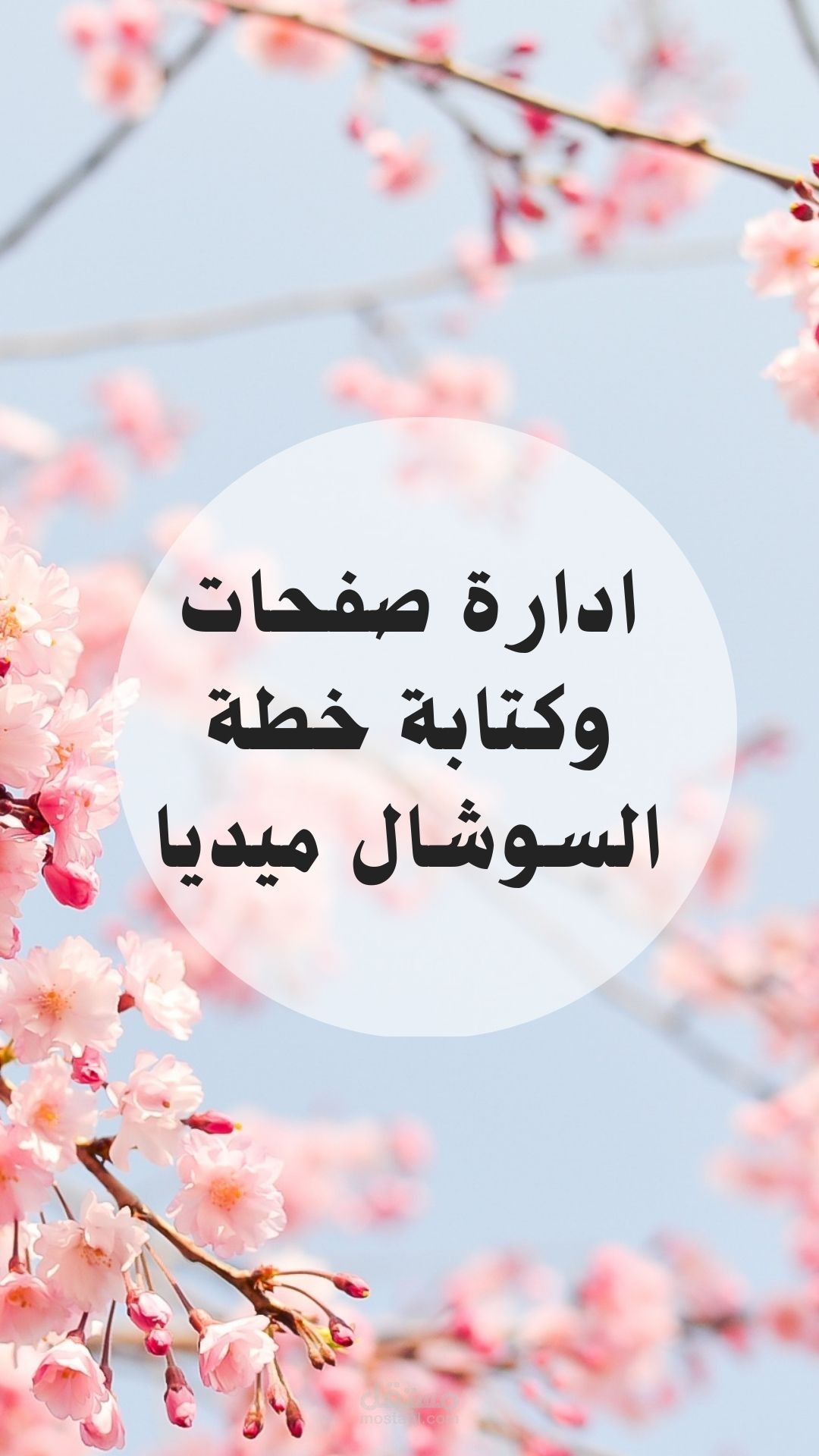ادارة صفحات وكتابة خطة السوشال ميديا