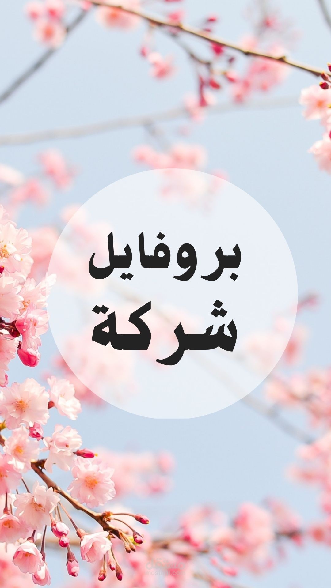 بروفايل الشركة