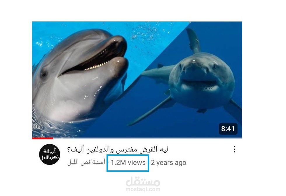ليه القرش مفترس والدولفين أليف؟