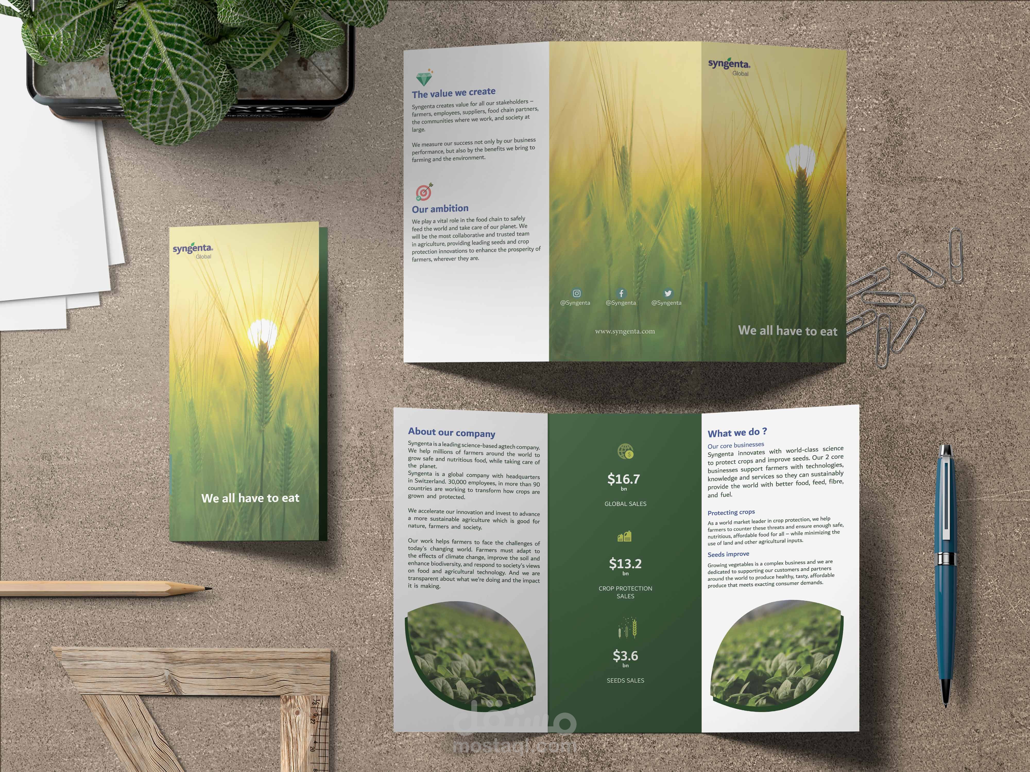 تصميم برشور (مطوية ) باللغة العربية والانجليزية