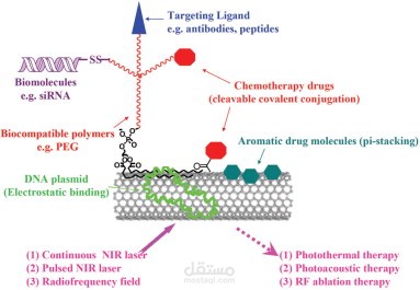 carbon nanotube in treating  cancer cell