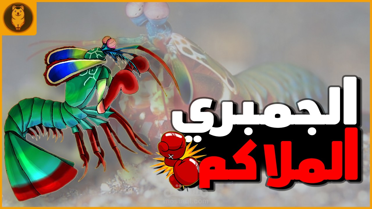 جمبري المانتيس