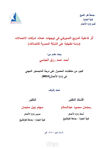 رساله ماجستير مهني كلية التجارة جامعة كفرالشيخ