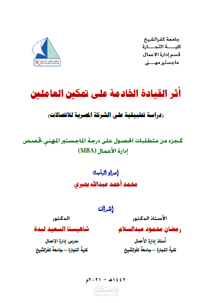 رساله ماجستير مهني كلية التجارة جامعة كفرالشيخ