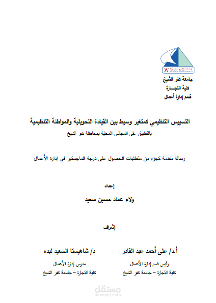 رساله ماجستير مهني كلية التجارة جامعة كفرالشيخ