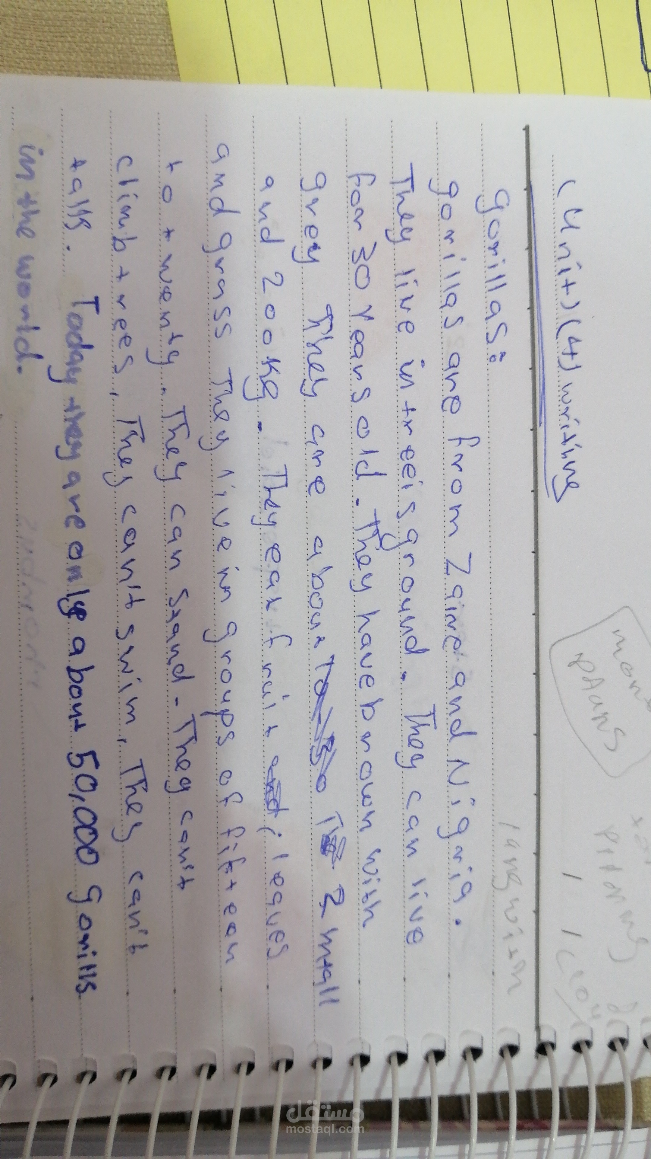 الكتابه
