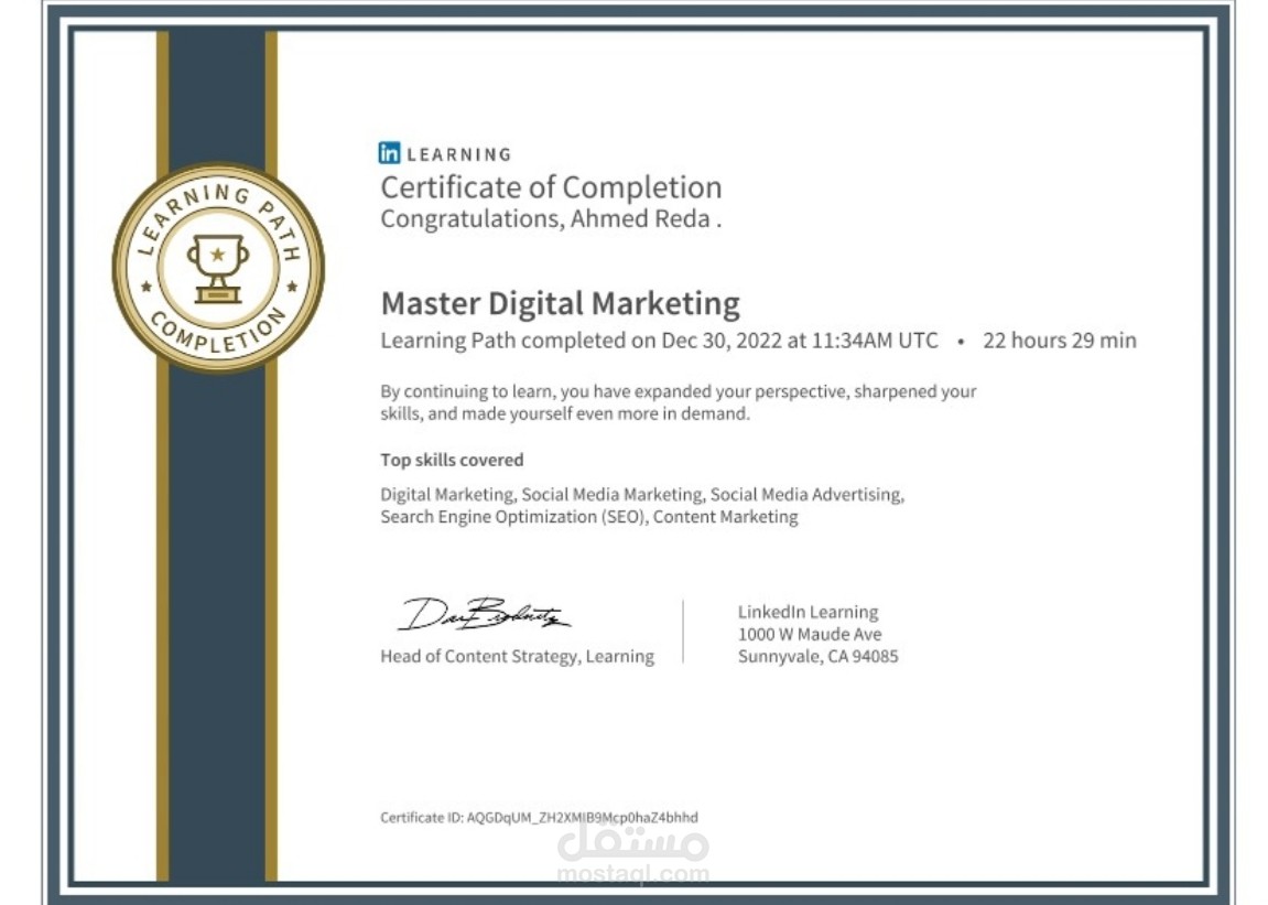 الشهادات العلمية و المهنية الاحترافية في التسويق الالكتروني (  Digital Marketing Certification )