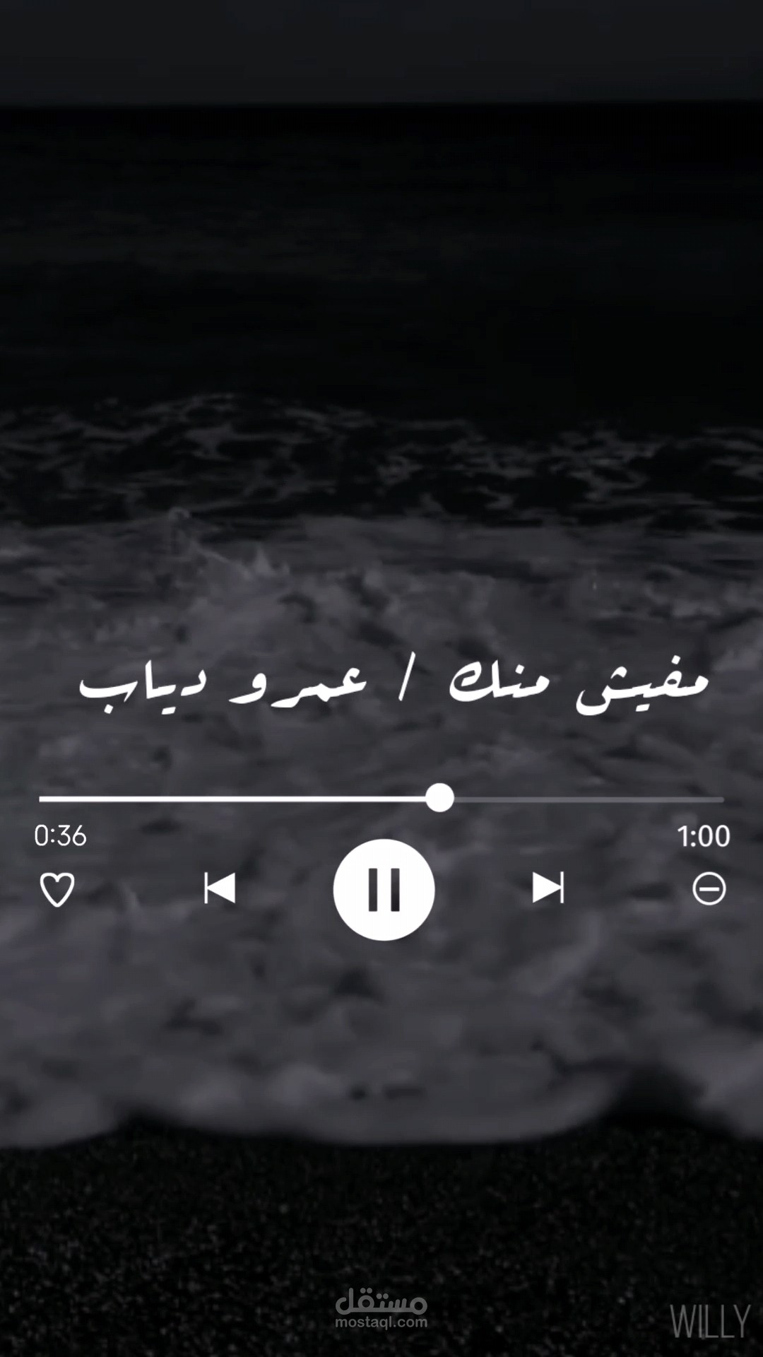 Short music video مقطع غنائي قصير (reels)