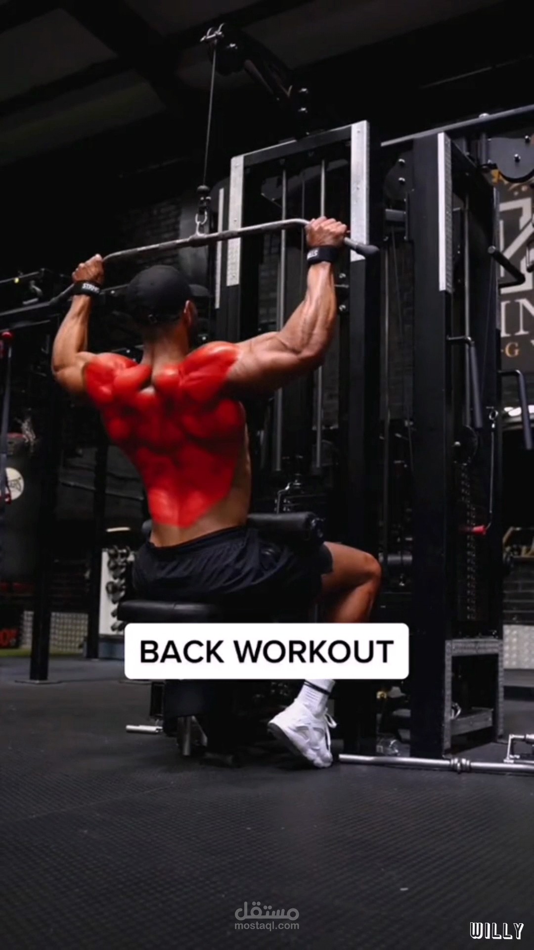 Back workout