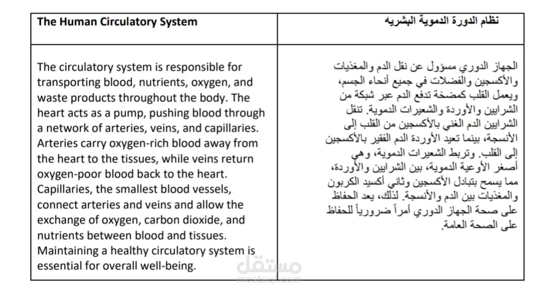 ترجمة طبية احترافية: شرح مفصل عن الجهاز الدوري البشري (من الإنجليزية إلى العربية)