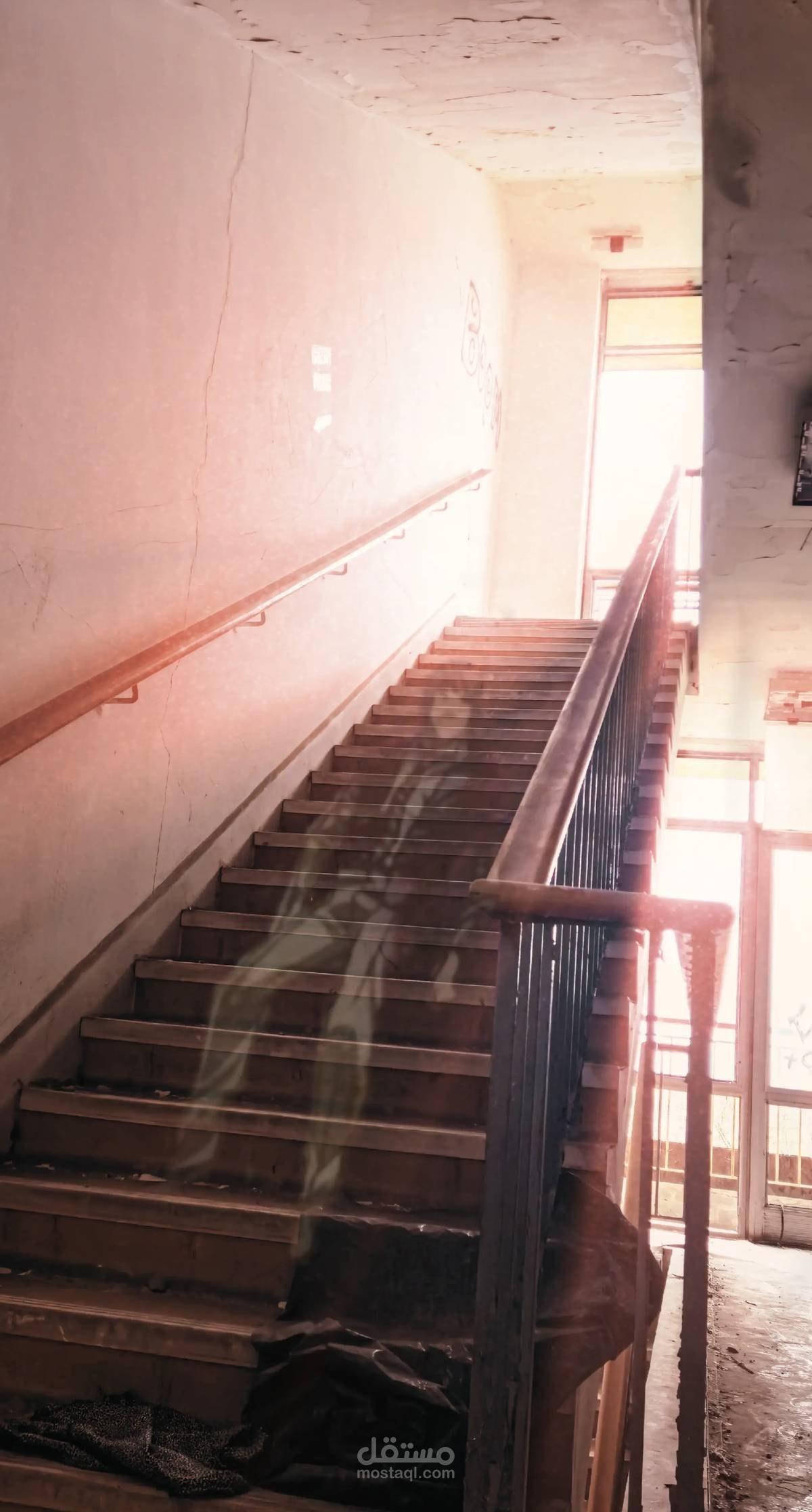 تصميم شعارتعديل الصورتطوير الويبمونتاج فيديو