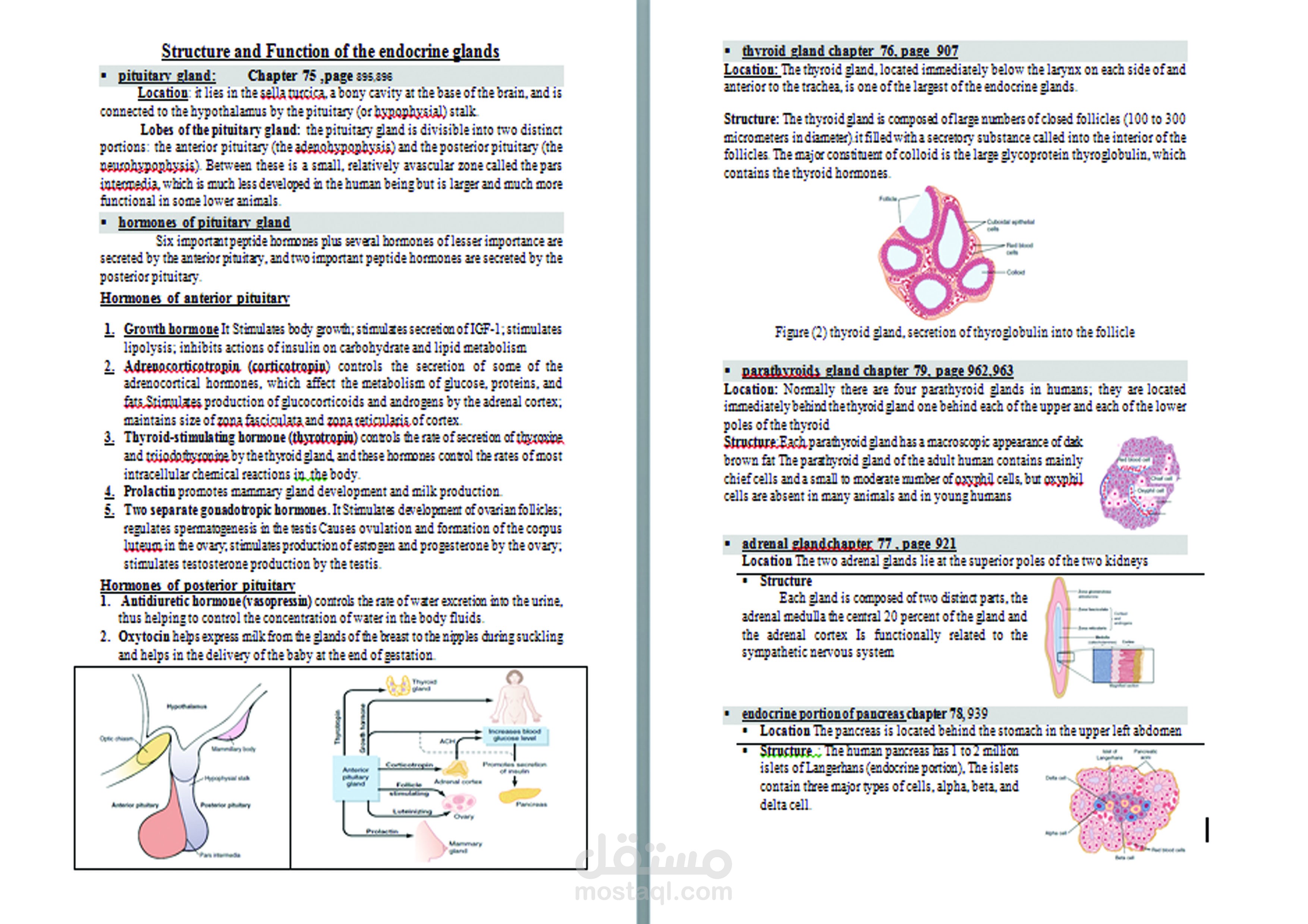 Structure and Function of the endocrine glands