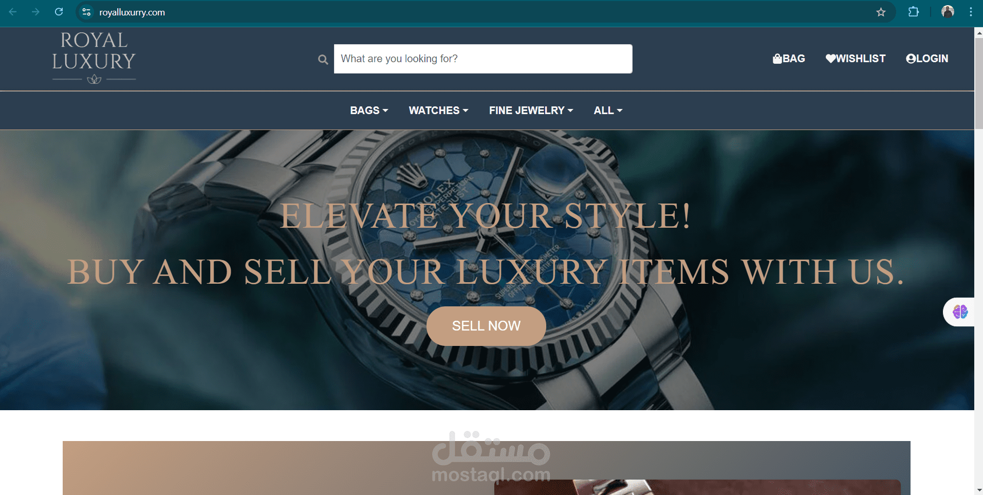 web development