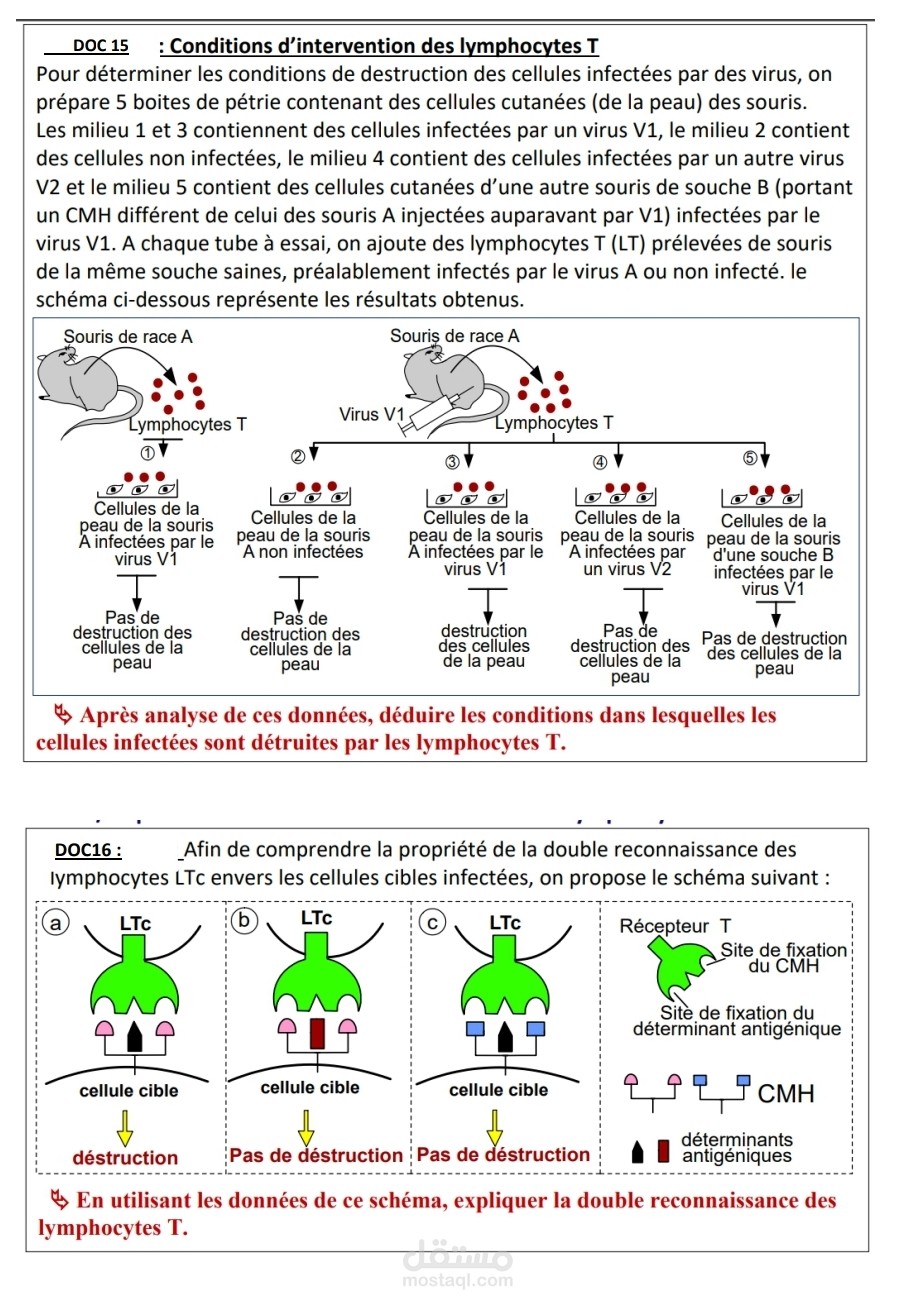 Writing a lesson in life and earth sciences