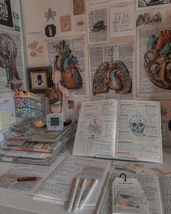 ترجمة طبية | Medical Translation