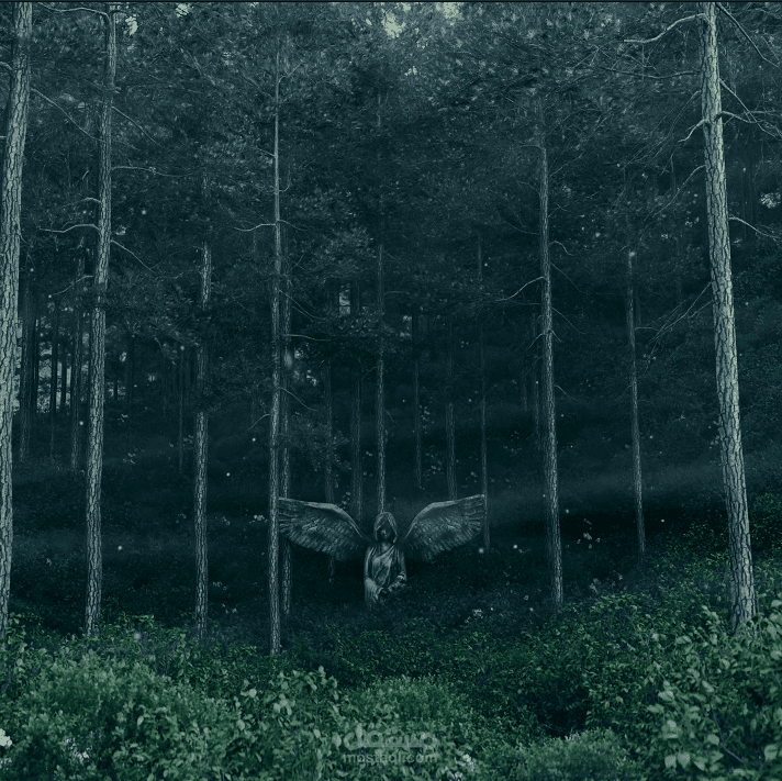 Forest 3D Animation