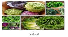 Nutritional Tips for Warfarin Patients in Arabic