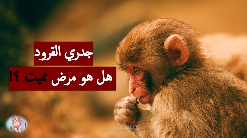 جدري القرود ..هل هو مرض مميت ؟!