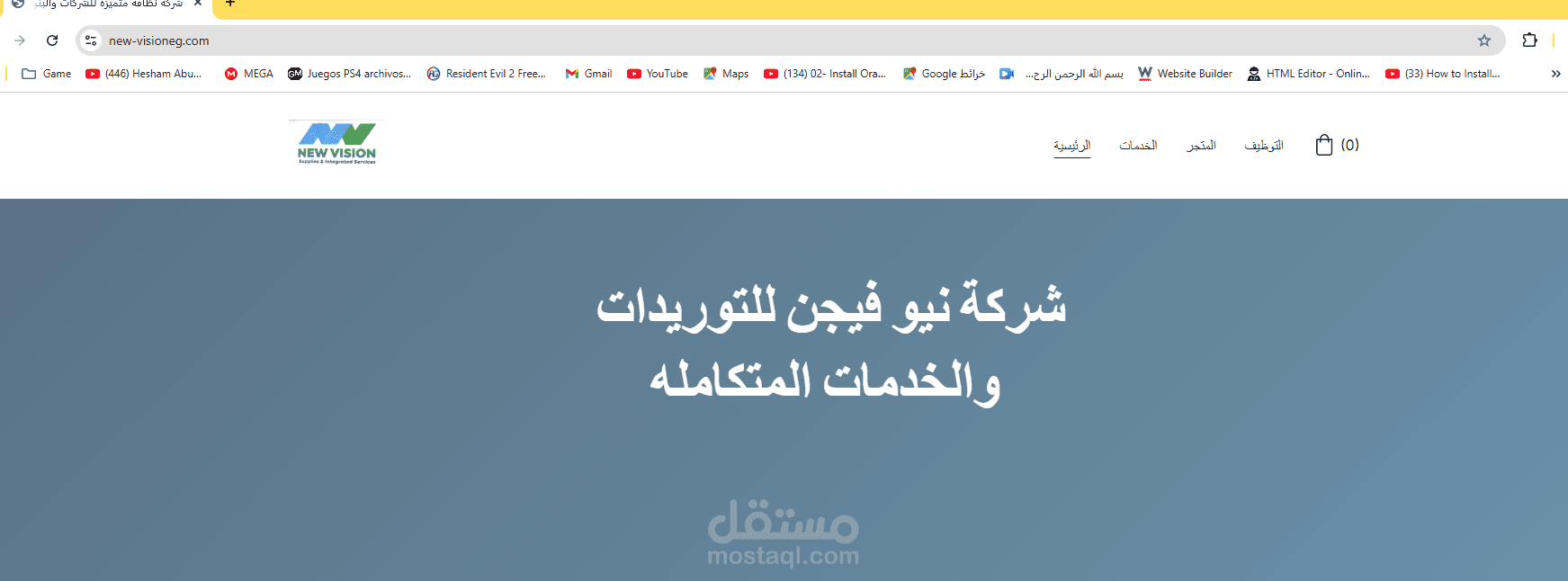 موقع شركة نيو فيجين