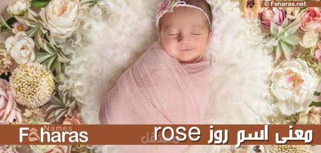 معنى اسم روز