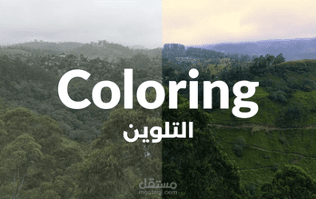 Color correction and color grading | Adobe Premiere Pro