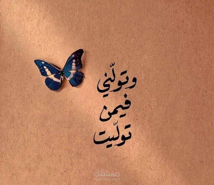 عرض توضيحي