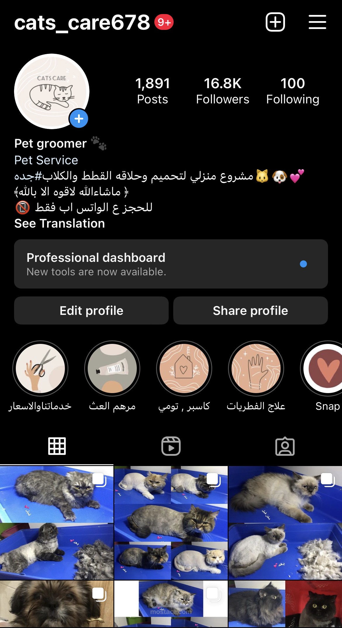 حساب cats_care678 علئ برنامج الانستجرام
