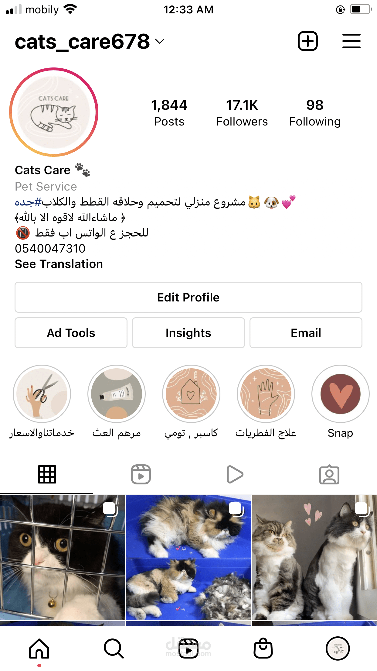 insta cats