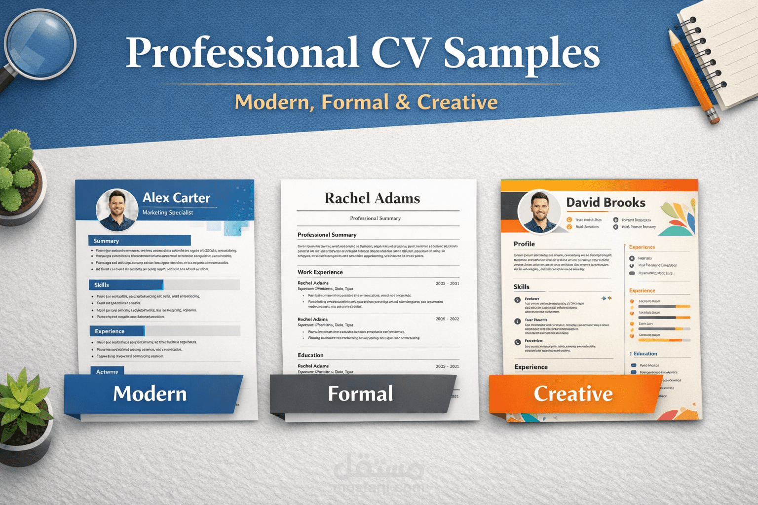 Professional CV Samples (Modern, Formal & Creative)