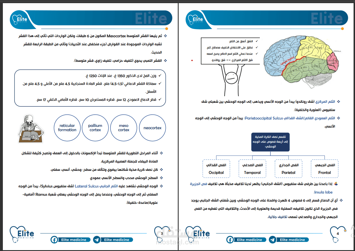 كتابات ملفات على ورد