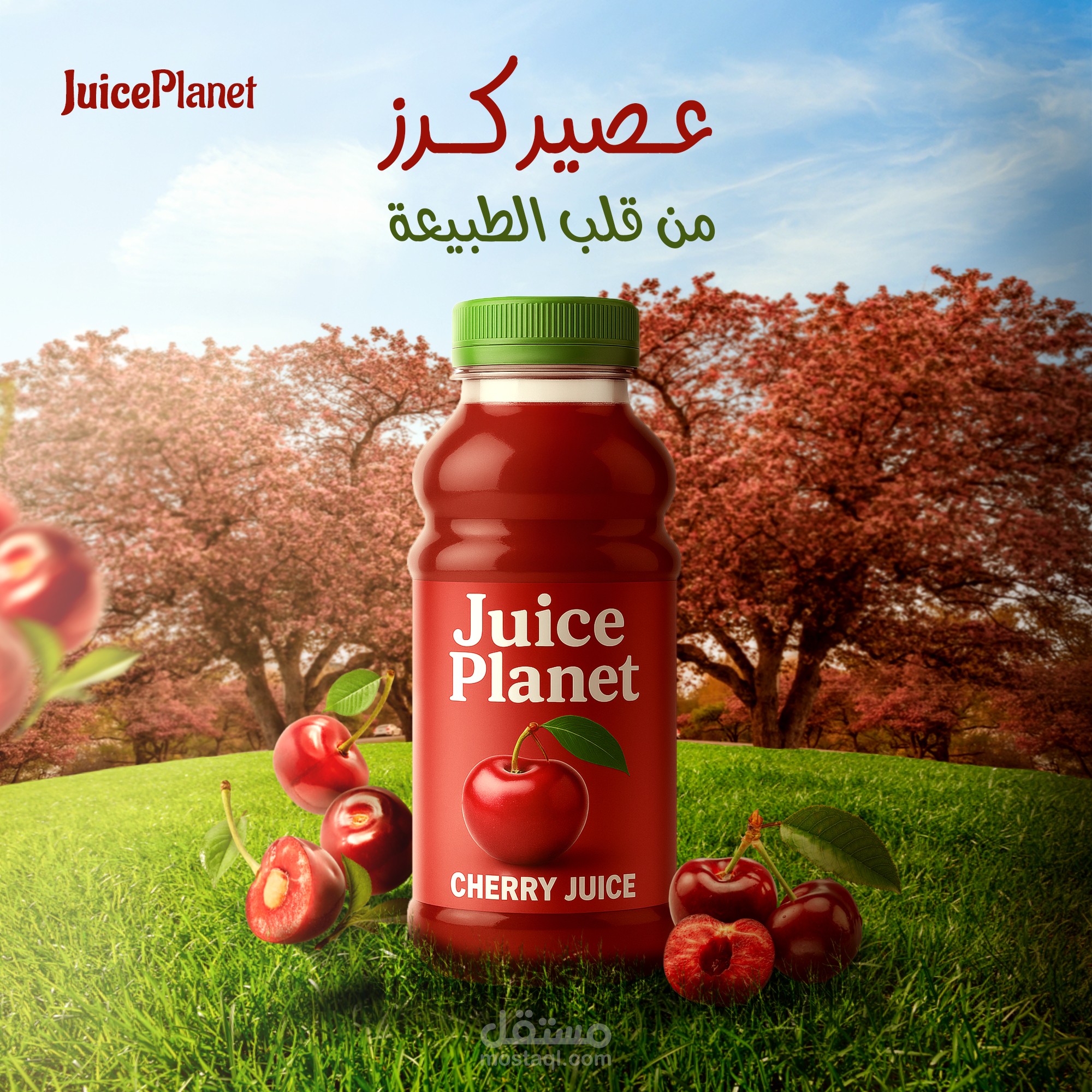 اعمالي في مجال التصميم