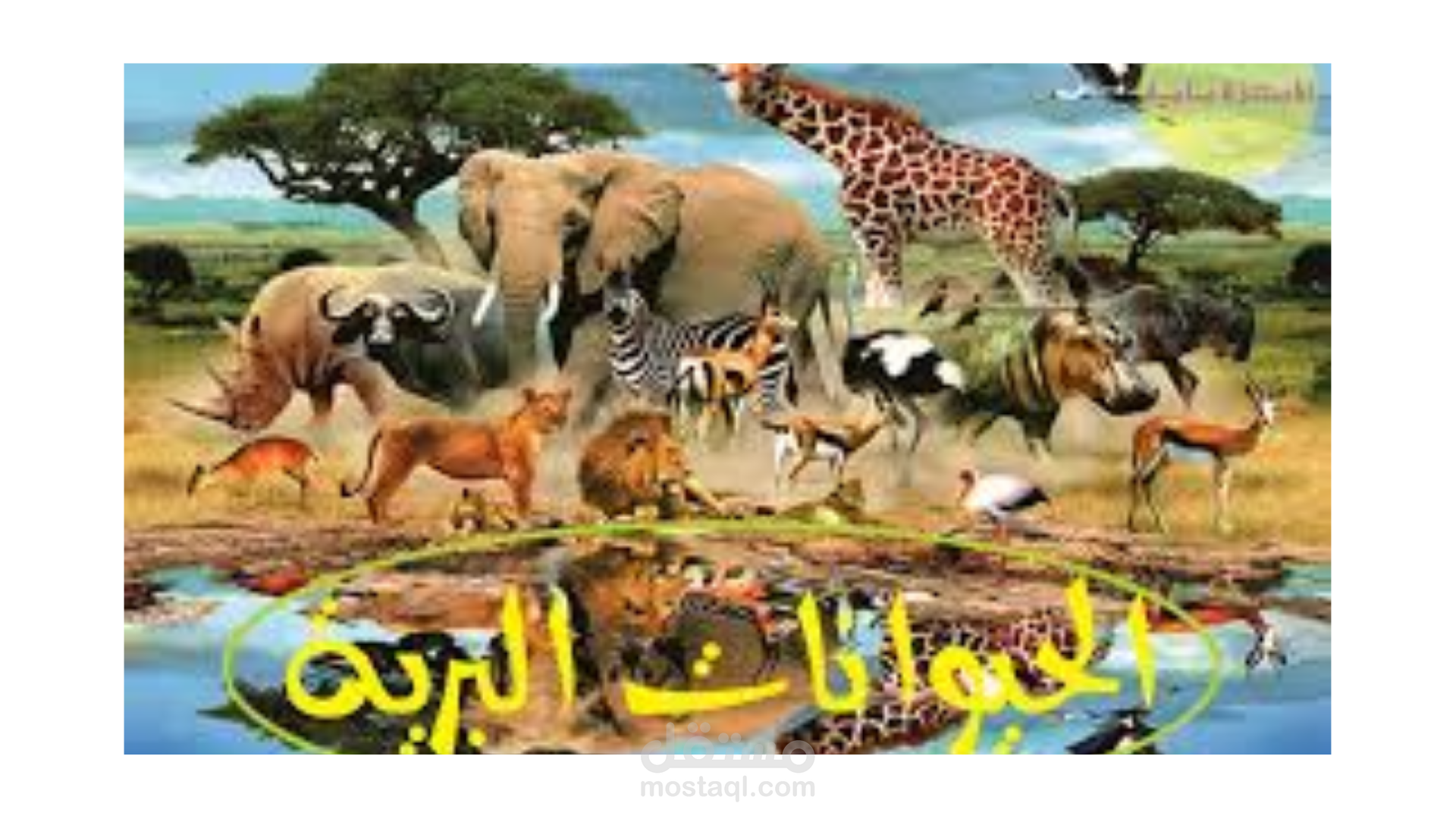 الحيوانات البريه