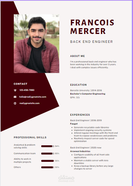 عمل cv (سي في) سيرة ذاتية تصميم أنيق جداً
