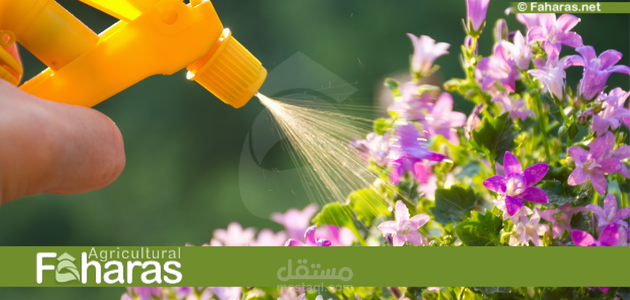 مقال عن الأسمدة الزراعية