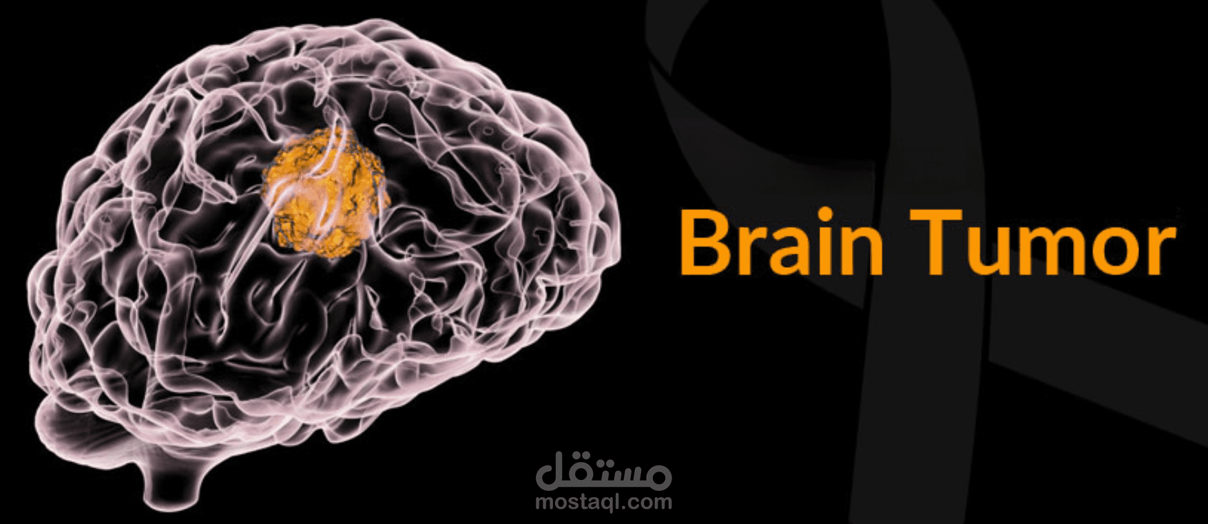 تصميم مواقع