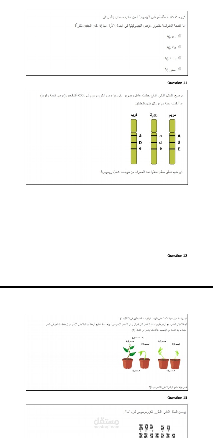 ادخال بيانات word