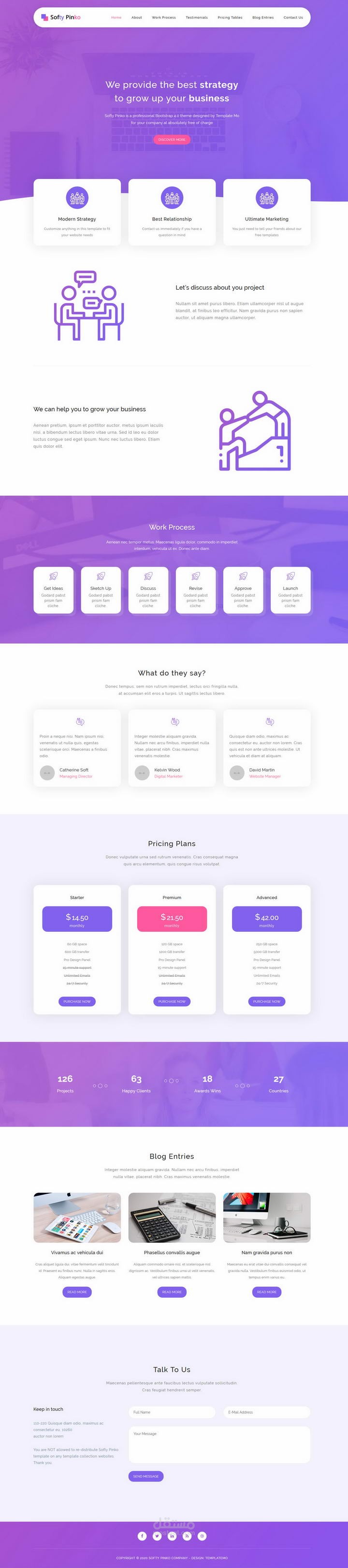 Softy Pinko ( Business or Digital Marketing Website)