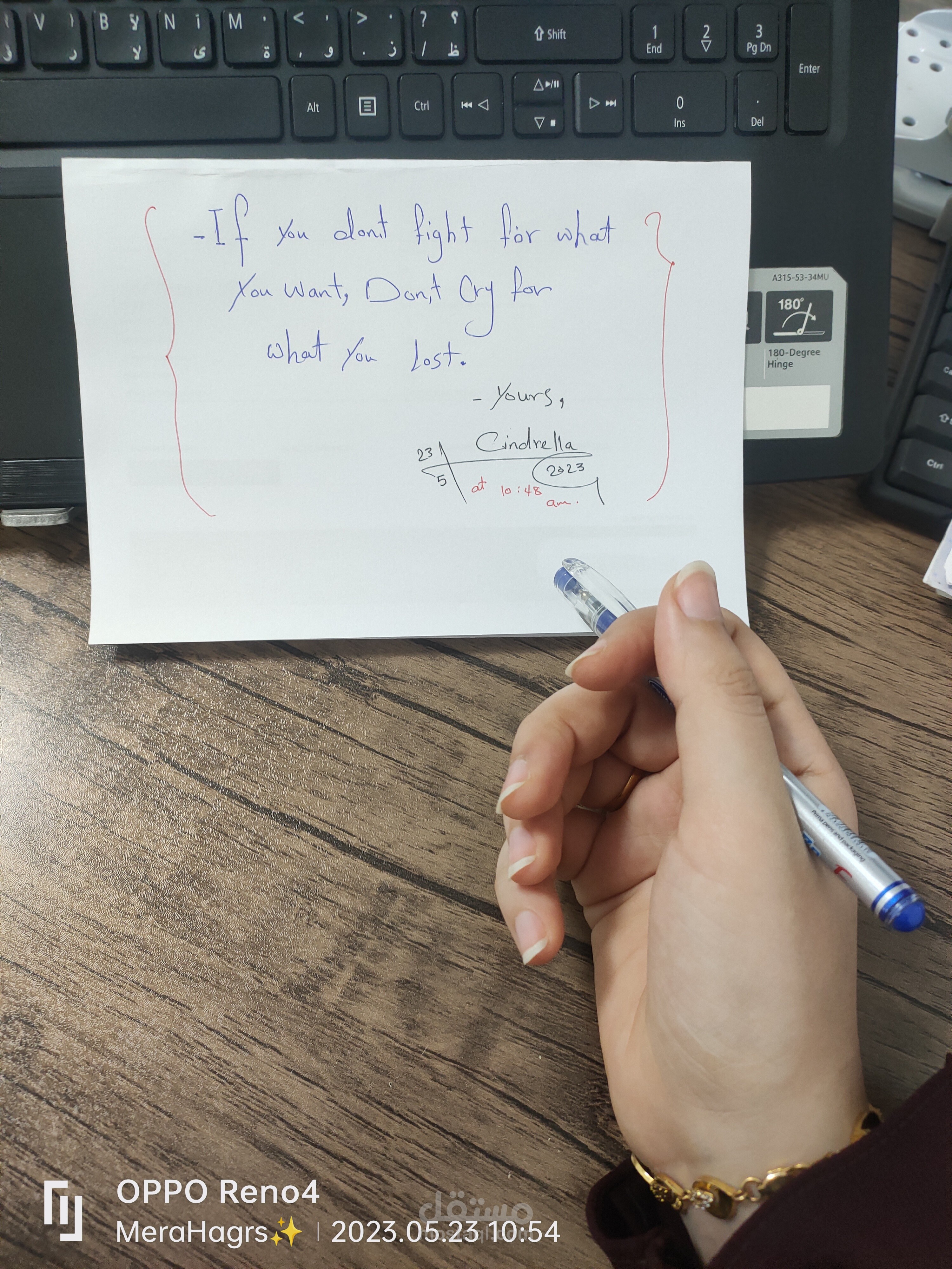 شركة رافيا باك