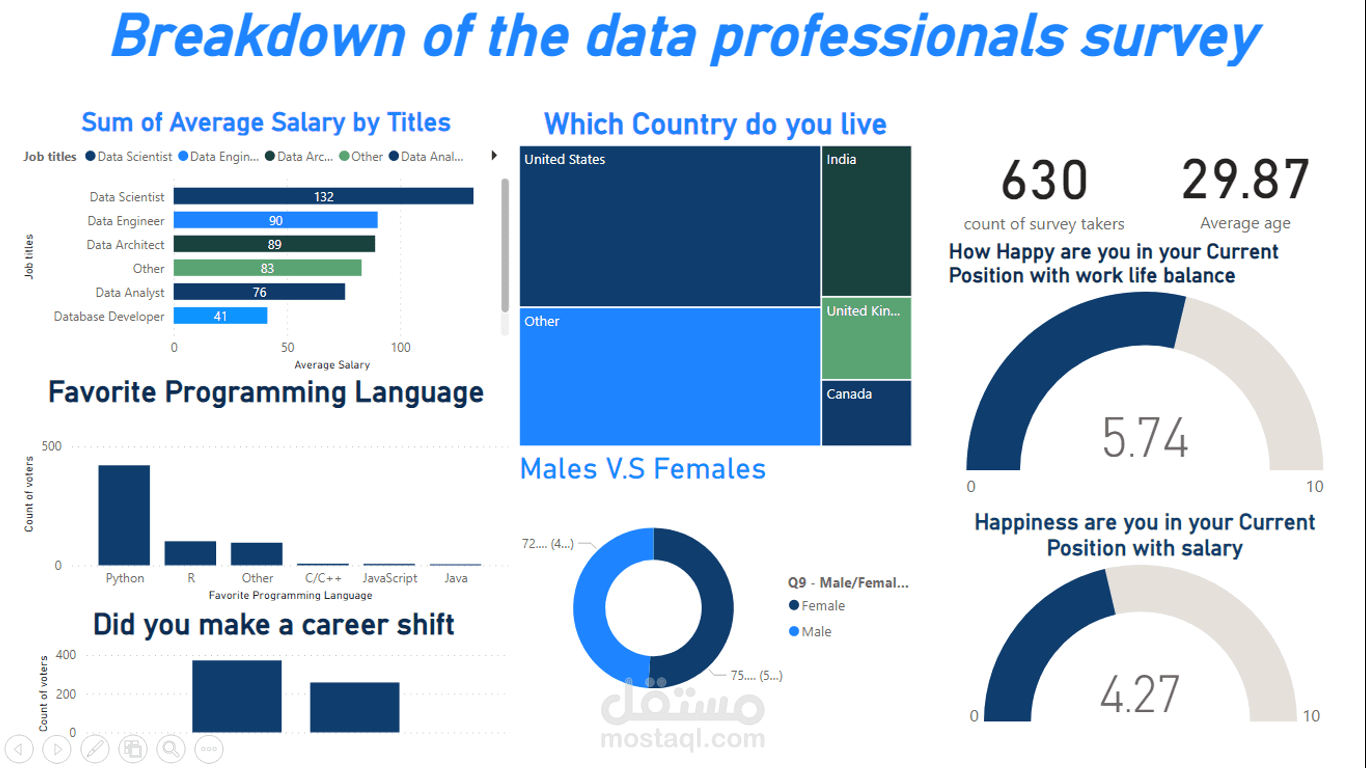 Breakdown of the data professionals survey
