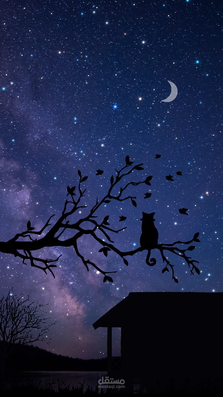 تصميمات مختلفه