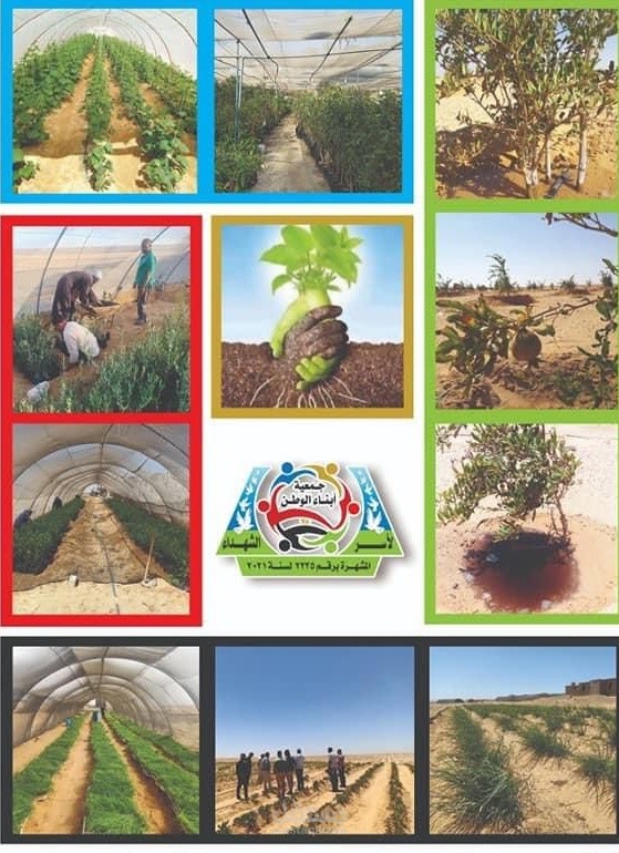 مدير تنفيذي