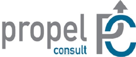 تطوير موقع Propel Consult