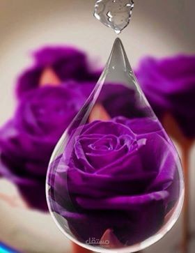 تصميم داتا محاسبة