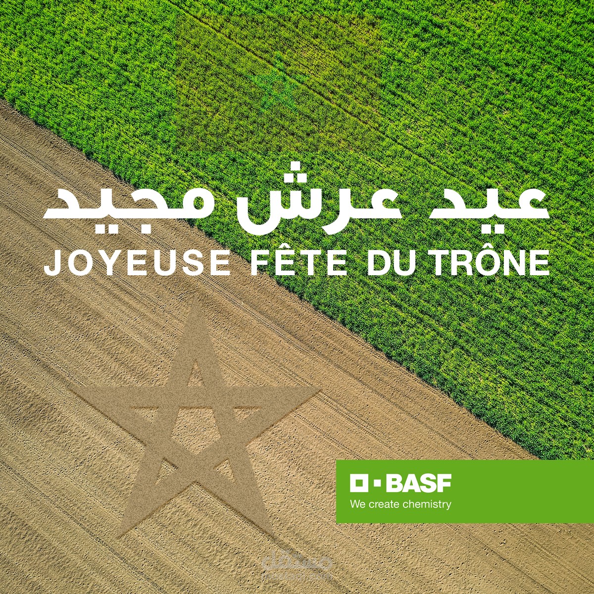 تصميم بوست عيدالعرش للمملكة المغربية - BASF