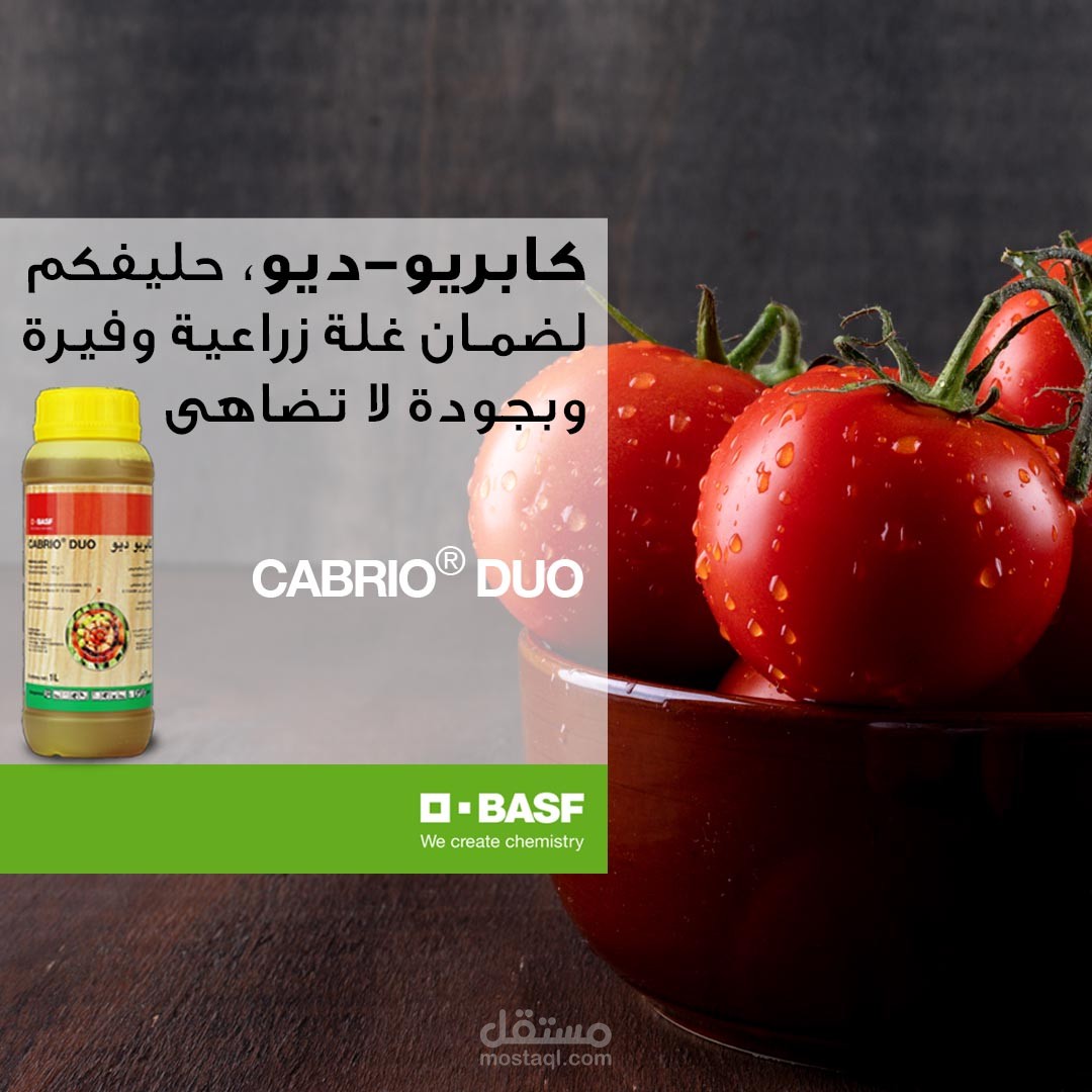 تصميم بوست لمنتوج  BASF