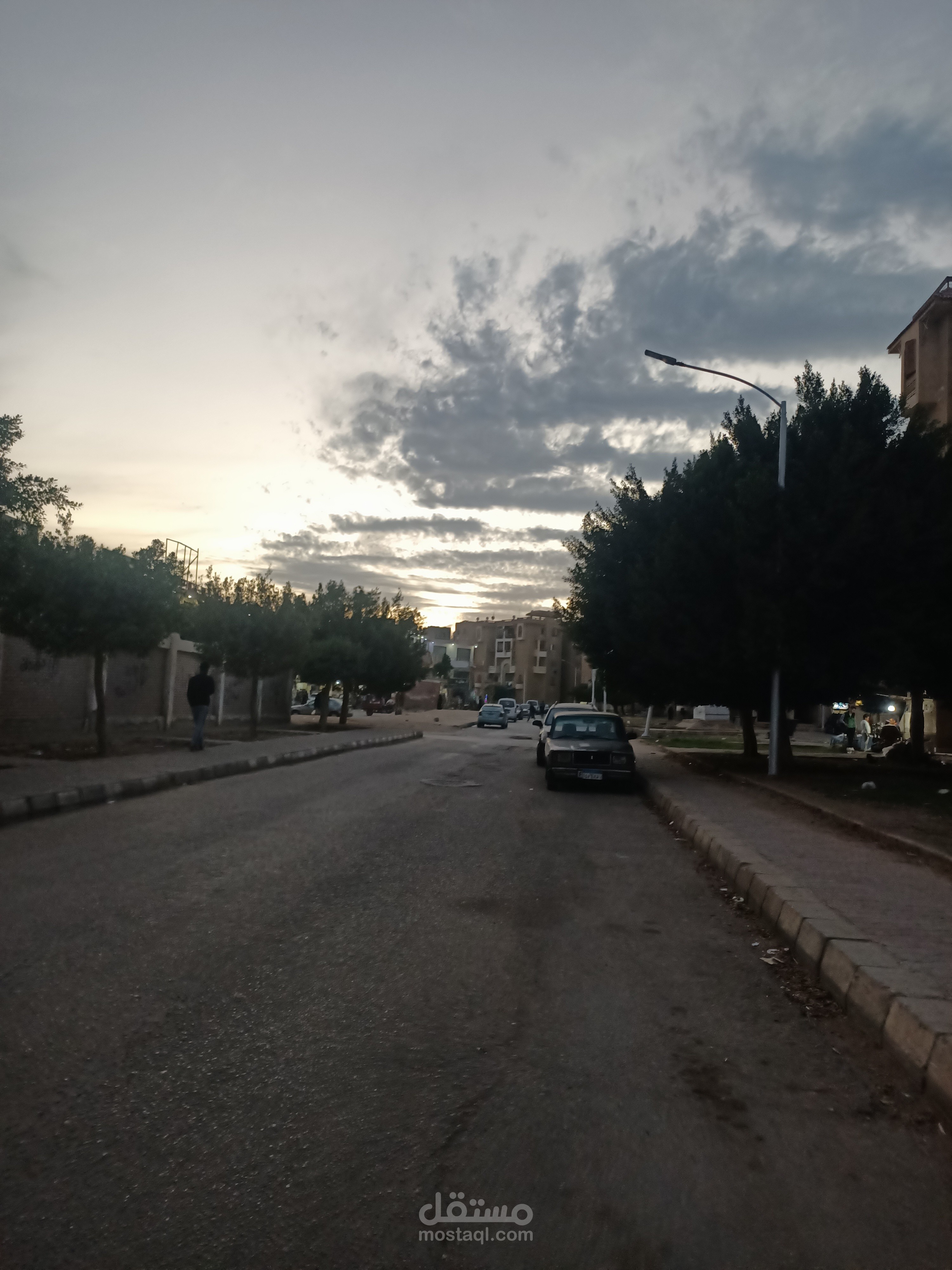 فن مصري