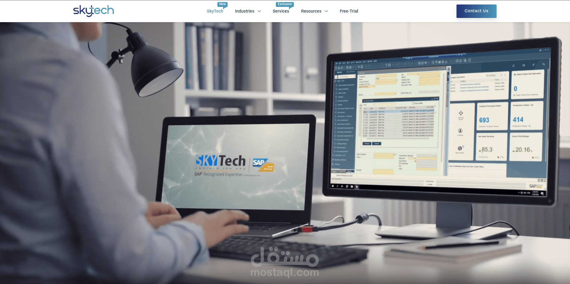 skytech - software- website