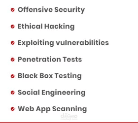Offensive security analyst | مستقل